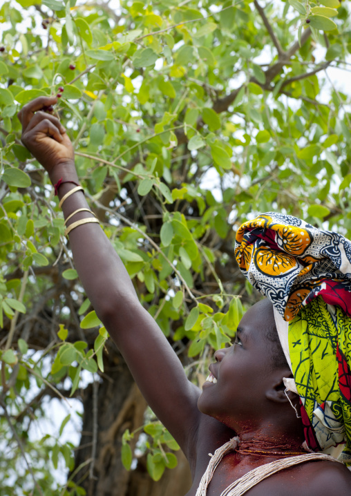 Mukubal Girl Picking Up Wild Berries, Virie Area, Angola