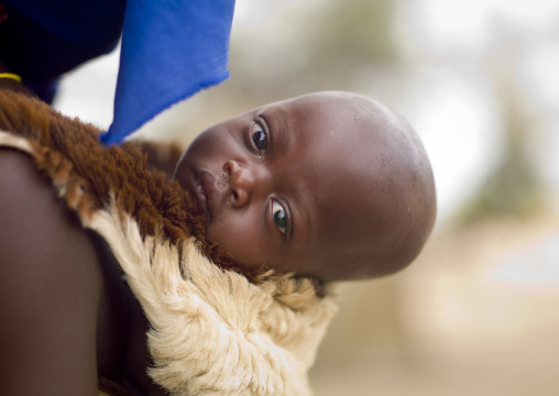 Mucubal Baby On His Mother S Back, Virie Area, Angola