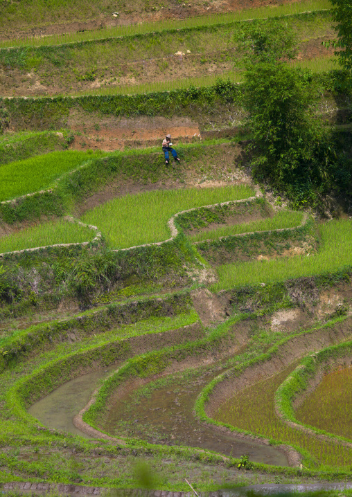 Green Rice Terraces Of Hani People In Yuanyang, Yunnan Province, China