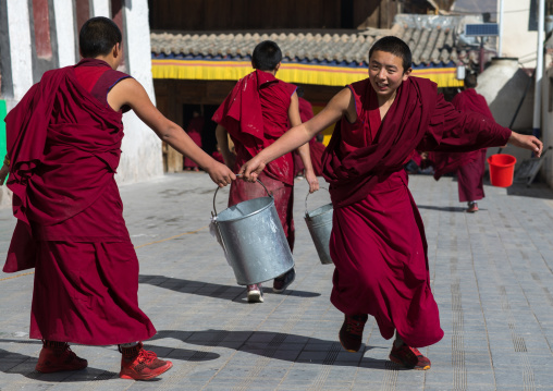 Monks carrying buckets for the painting of a temple in Rongwo monastery, Tongren County, Longwu, China