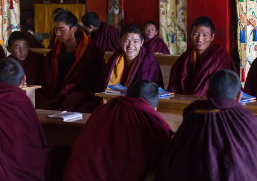 Young monks from yellow hat sect praying in Bongya monastery, Qinghai province, Mosele, China