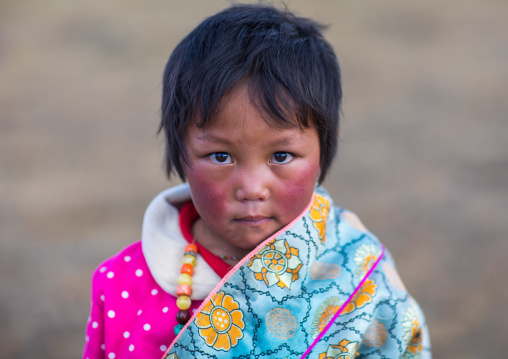 Portrait of a tibetan nomad girl with her cheeks reddened by the harsh weather, Qinghai province, Tsekhog, China
