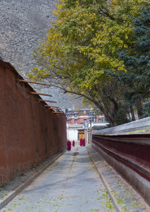Monks walking in the street of Labrang monastery, Gansu province, Labrang, China