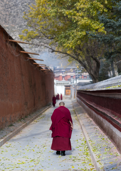 Monks walking in the street of Labrang monastery, Gansu province, Labrang, China