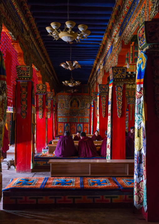 Monks from yellow hat sect praying in Bongya monastery, Qinghai province, Mosele, China
