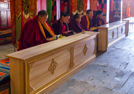Monks from yellow hat sect praying in Bongya monastery, Qinghai province, Mosele, China