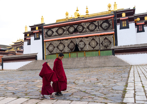 Young tibetan monks walking in the Hezuo monastery, Gansu province, Hezuo, China
