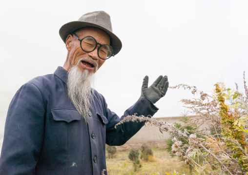Portrait of an old chinese man with a long white beard in Hezuo monastery, Gansu province, Hezuo, China