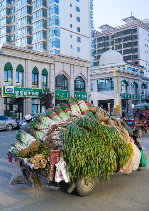 Cart overloaed with vegetables in the street, Gansu province, Linxia, China