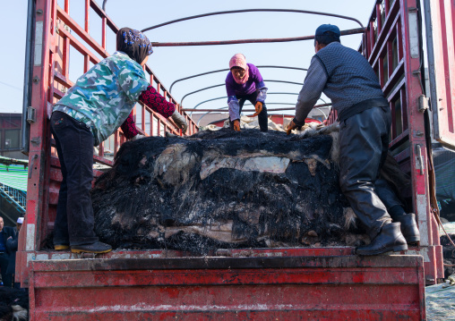 Muslim Hui people pulling yout yak skins from a truck, Gansu province, Linxia, China
