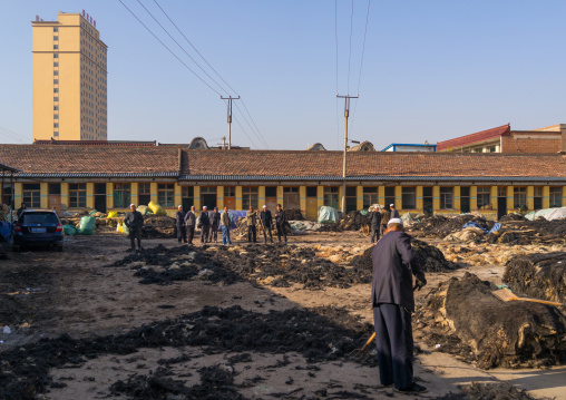 Yak leather and wool market ruled by muslim hui people, Gansu province, Linxia, China