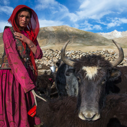 Wakhi nomad woman with a yak, Big pamir, Wakhan, Afghanistan