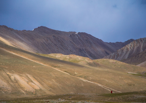 Wakhi woman in the mountains, Big pamir, Wakhan, Afghanistan