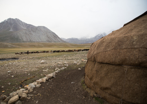 Wakhi sheperd looking for grass, Big pamir, Wakhan, Afghanistan