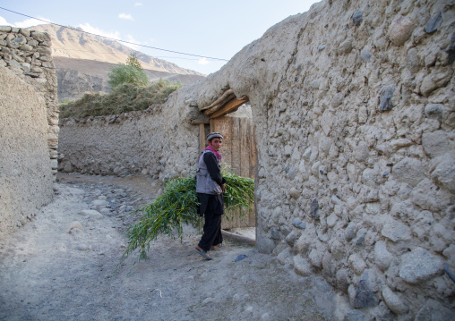Afghan man carrying grass for his cows, Badakhshan province, Khandood, Afghanistan