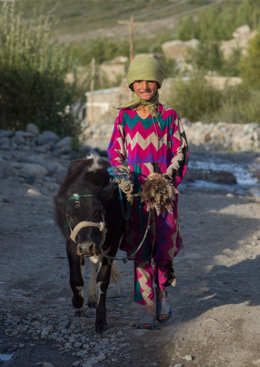 Afghan girl with a veal, Badakhshan province, Khandood, Afghanistan