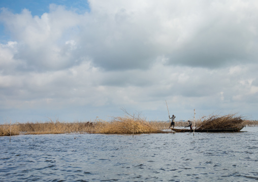 Benin, West Africa, Ganvié, farmers poling boat on nokoue lake near ganvie stilt village