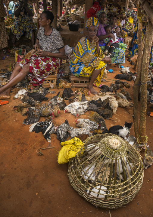 Benin, West Africa, Adjara, women selling chickens on a market