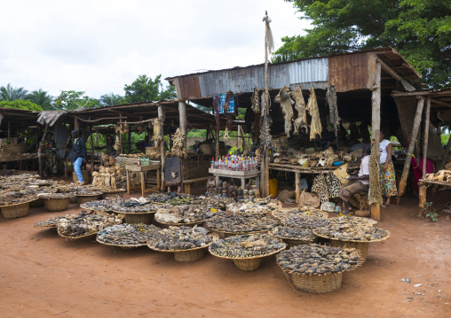 Benin, West Africa, Bonhicon, a voodoo market with many cut heads and parts of dead animal