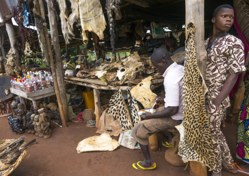 Benin, West Africa, Bonhicon, a voodoo market with many cut heads and parts of dead animal
