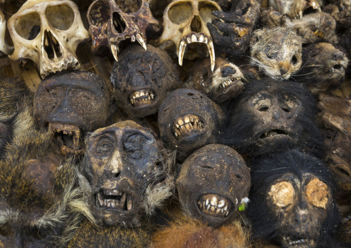 Benin, West Africa, Bonhicon, monkeys heads sold on a voodoo market