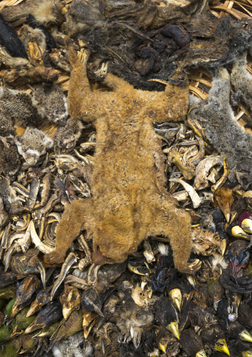 Benin, West Africa, Bonhicon, a voodoo market with many cut heads and parts of dead animal