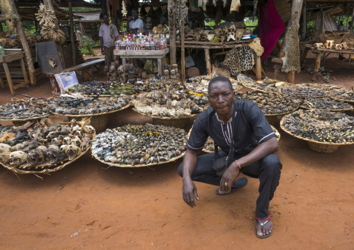 Benin, West Africa, Bonhicon, mister bebe in front of his voodoo market selling many cut heads and parts of dead animal