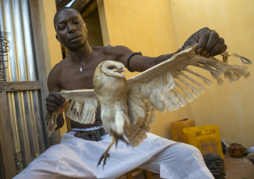 Benin, West Africa, Bonhicon, kagbanon bebe voodoo priest during a ceremony with a owl