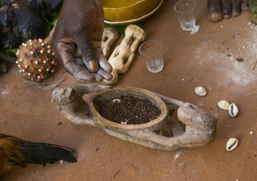 Benin, West Africa, Bonhicon, kagbanon bebe voodoo priest using some pepper during a ceremony