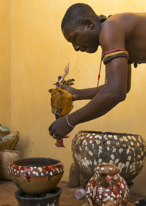 Benin, West Africa, Bonhicon, the slaughter of a chicken in a ritual sacrifice during a voodoo ceremony runned by kagbanon bebe priest