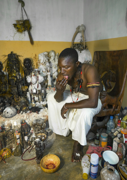 Benin, West Africa, Bonhicon, kagbanon bebe voodoo priest licking some oil during a ceremony