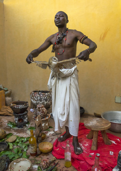 Benin, West Africa, Bonhicon, kagbanon bebe voodoo priest with a owl during a ceremony