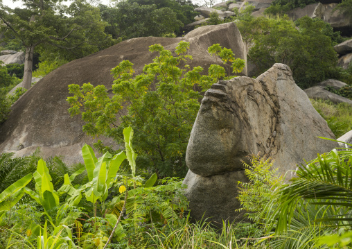 Benin, West Africa, Dassa-Zoumè, rock with a fish shape