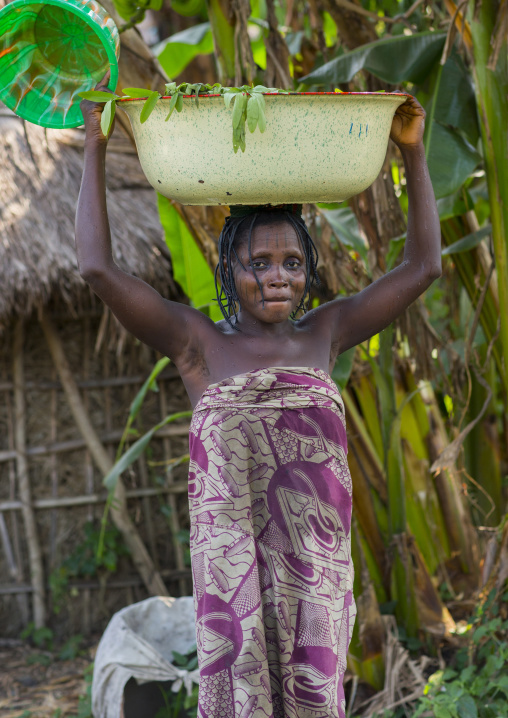 Benin, West Africa, Onigbolo Isaba, holi tribe woman covered with traditional facial tattoos and scars