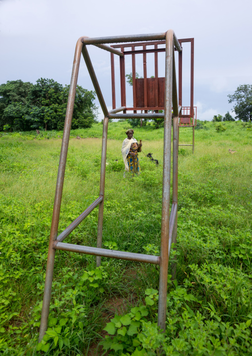 Benin, West Africa, Taneka-Koko, woman with a goat on a basket field covered with high grass