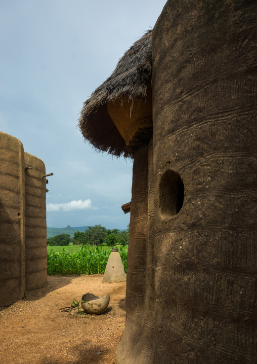 Benin, West Africa, Boukoumbé, traditional tata somba houses with thatched roofs and granaries