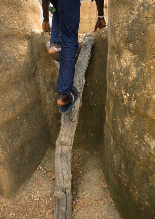 Benin, West Africa, Boukoumbé, man climbing a ladder in a traditional tata somba house