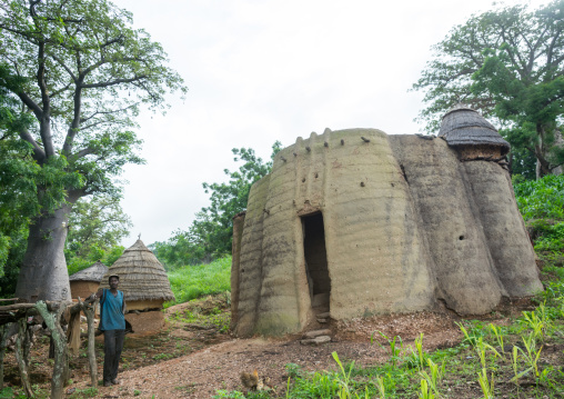 Togo, West Africa, Nadoba, traditional tata somba houses with thatched roofs and granaries
