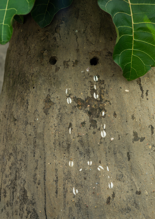 Togo, West Africa, Nadoba, altar eyes used to protect the somba house from the wild animals