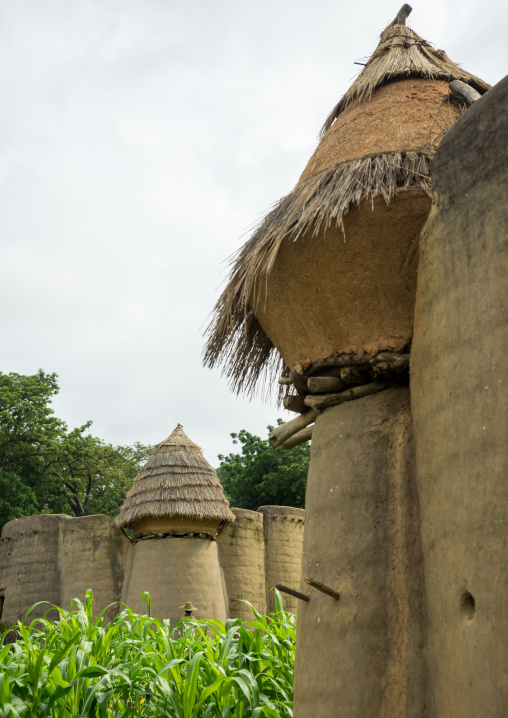 Togo, West Africa, Nadoba, traditional tata somba houses with thatched roofs and granaries