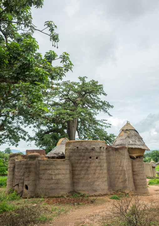 Togo, West Africa, Nadoba, traditional tata somba houses with thatched roofs and granaries
