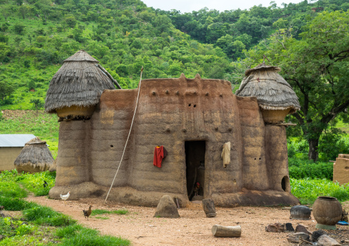 Togo, West Africa, Nadoba, traditional tata somba house with thatched roofs and granaries