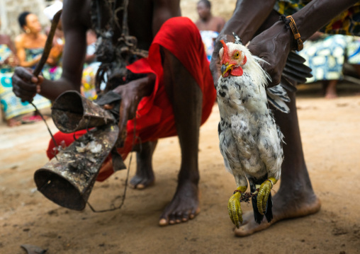 Benin, West Africa, Bopa, chicken sacrified by dah tofa voodoo master