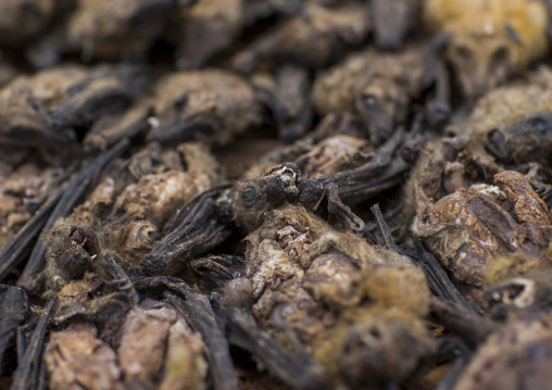 Benin, West Africa, Bonhicon, dead bats sold on a voodoo market