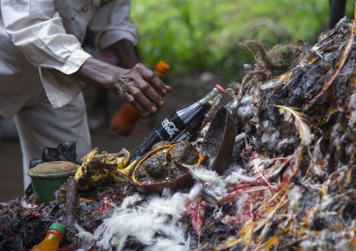 Benin, West Africa, Dankoly, a man putting coca cola on a voodoo shrine as offerings to the spirit