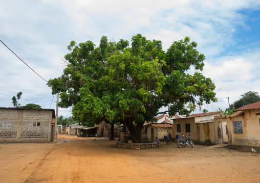 Benin, West Africa, Ouidah, arbre du retour on the slave trail