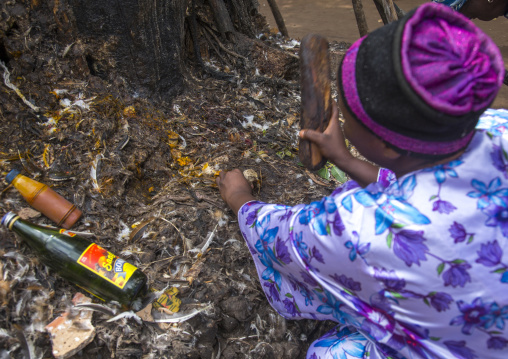 Benin, West Africa, Dankoly, wood sticks used to ask favors to the spirits on a voodoo shrine