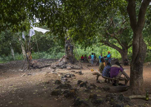 Benin, West Africa, Dankoly, a voodoo shrine covered with oil blood and feathers