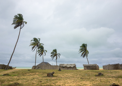 Benin, West Africa, Ouidah, ouidah cotonou road on the slave coast