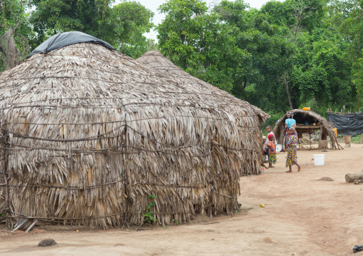 Benin, West Africa, Savalou, traditional peul houses made of dried leaves